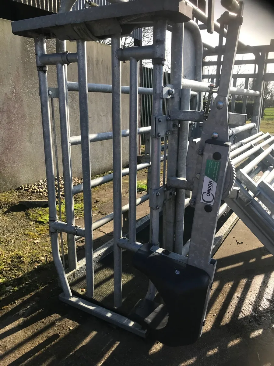 Portable Cattle Crush & 5 Fencers - Image 1