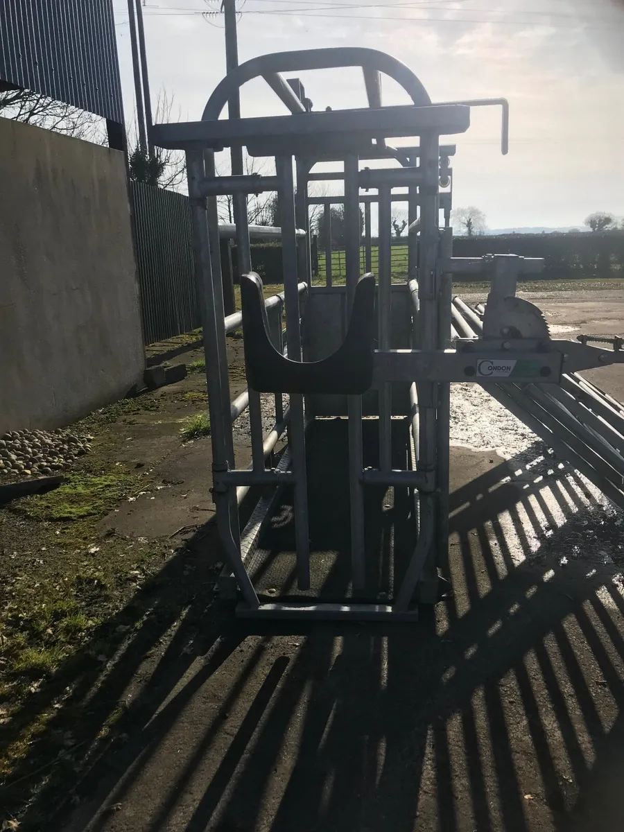 Portable Cattle Crush & 5 Fencers - Image 3