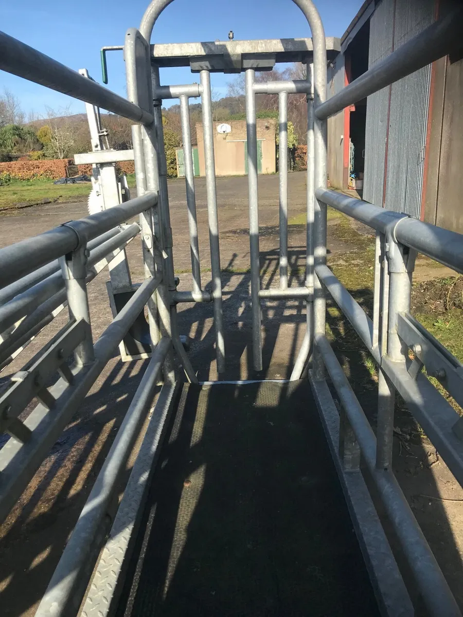 Portable Cattle Crush & 5 Fencers - Image 4