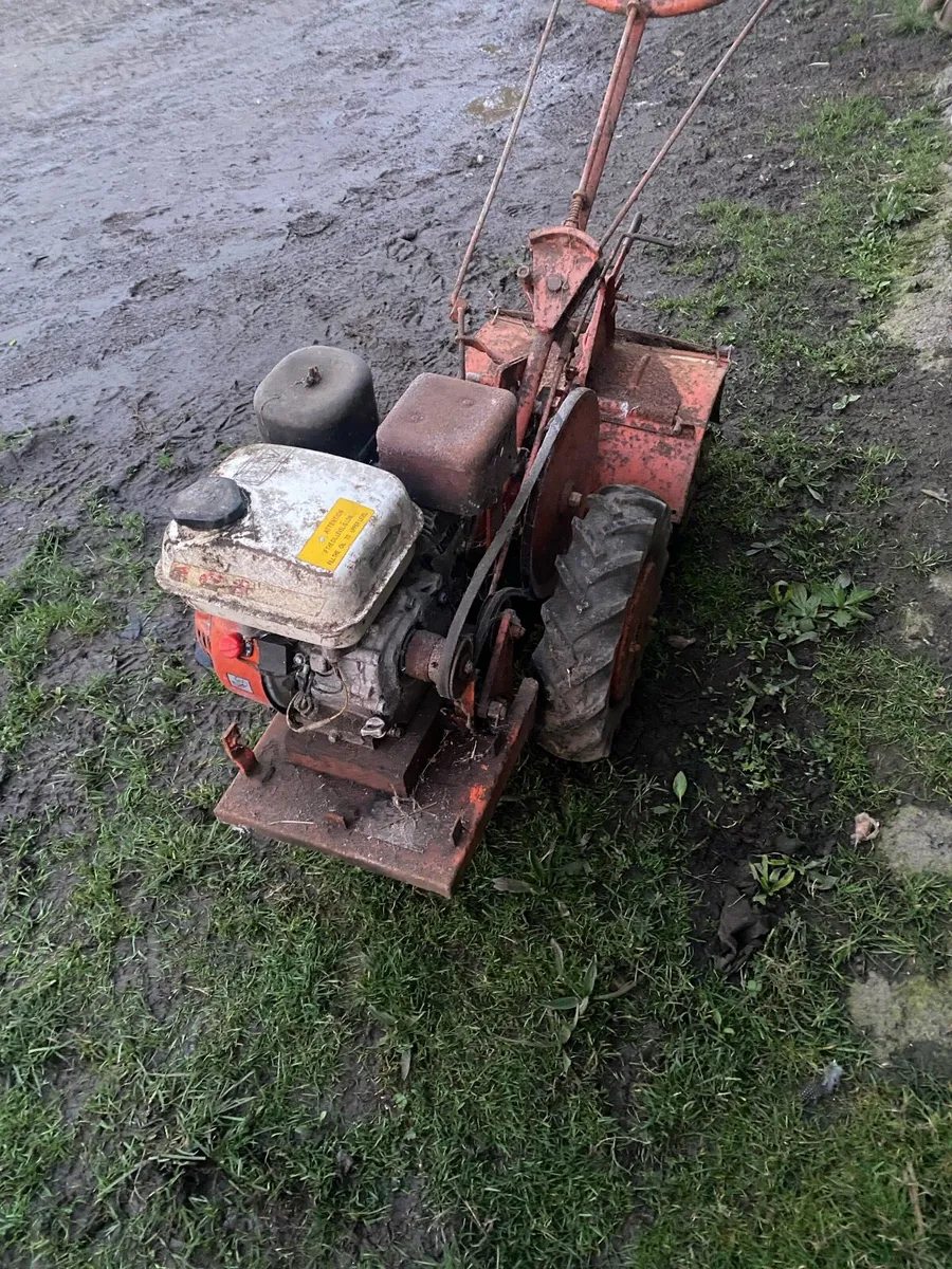 Petrol rotavator - Image 2