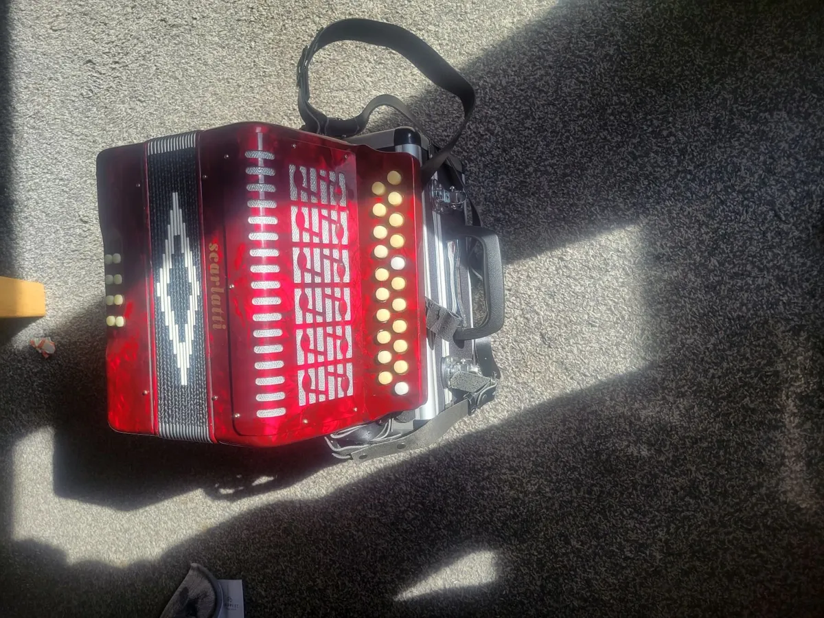 Accordion - Image 4