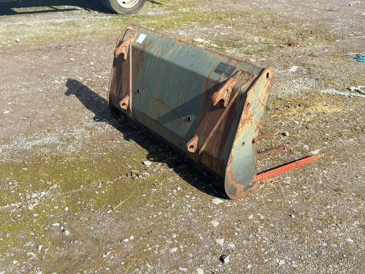 Manure fork - Image 2