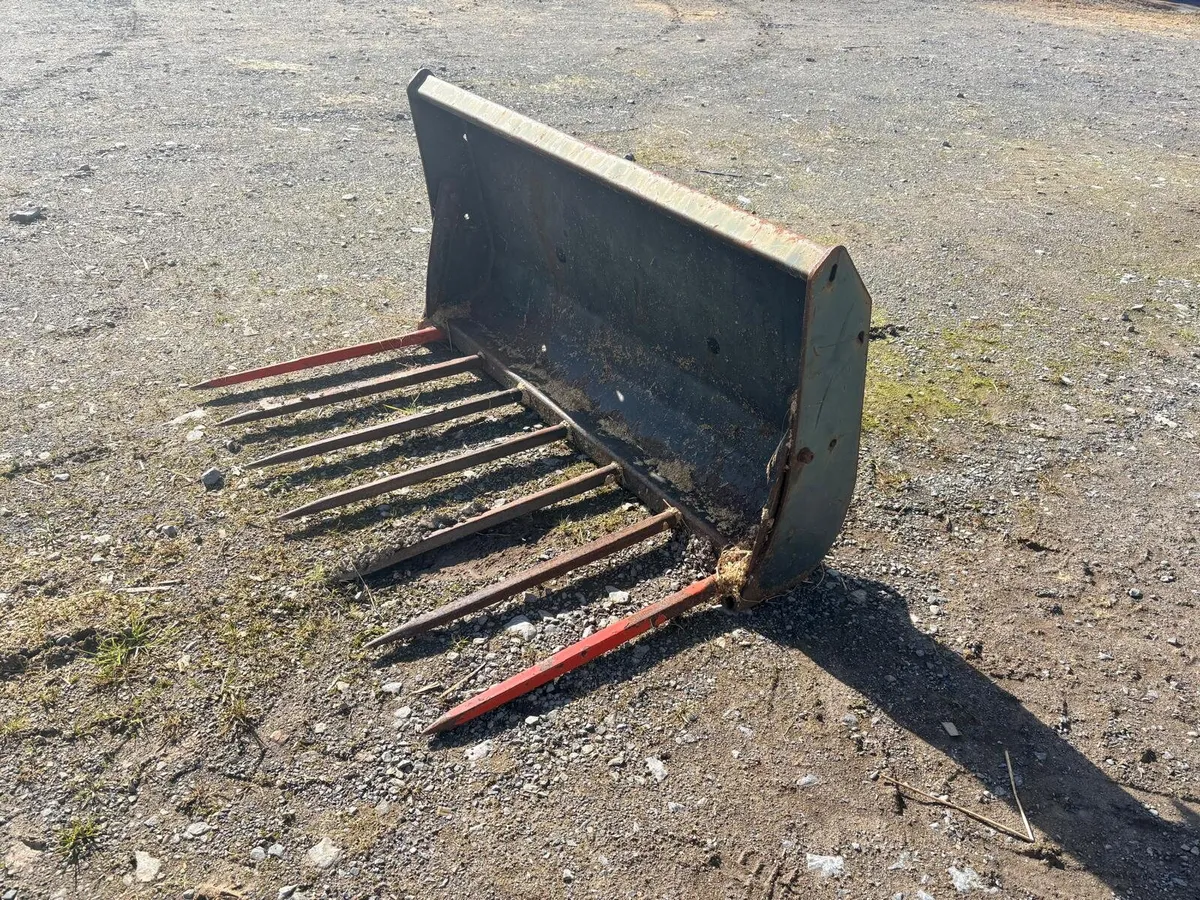 Manure fork - Image 1