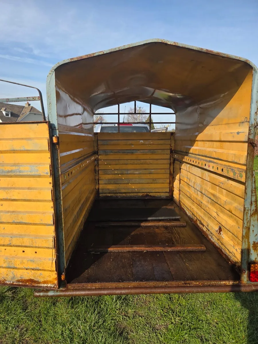 8x4,6 livestock trailer - Image 2