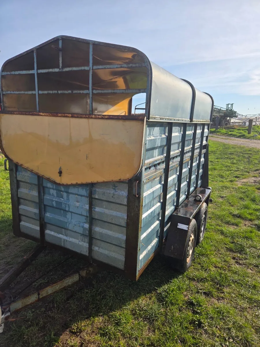 8x4,6 livestock trailer - Image 3