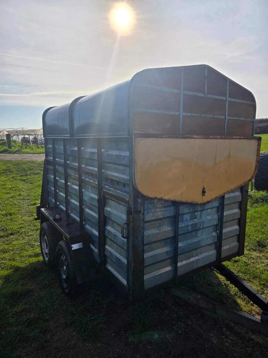 8x4,6 livestock trailer - Image 1
