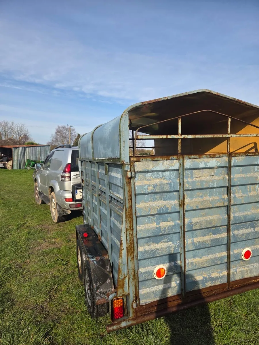 8x4,6 livestock trailer - Image 4