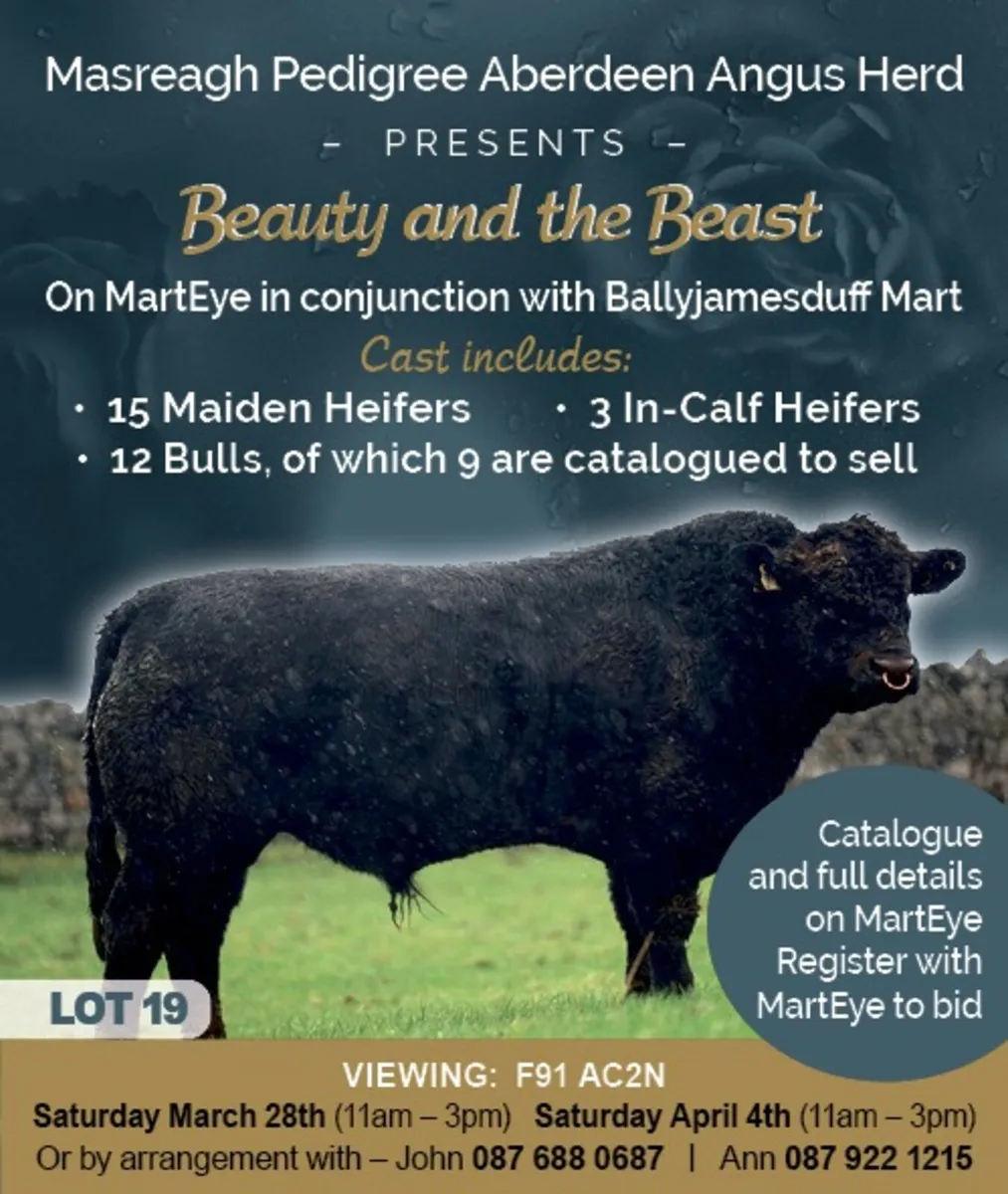 We have arrived on Mart Eye - Image 1