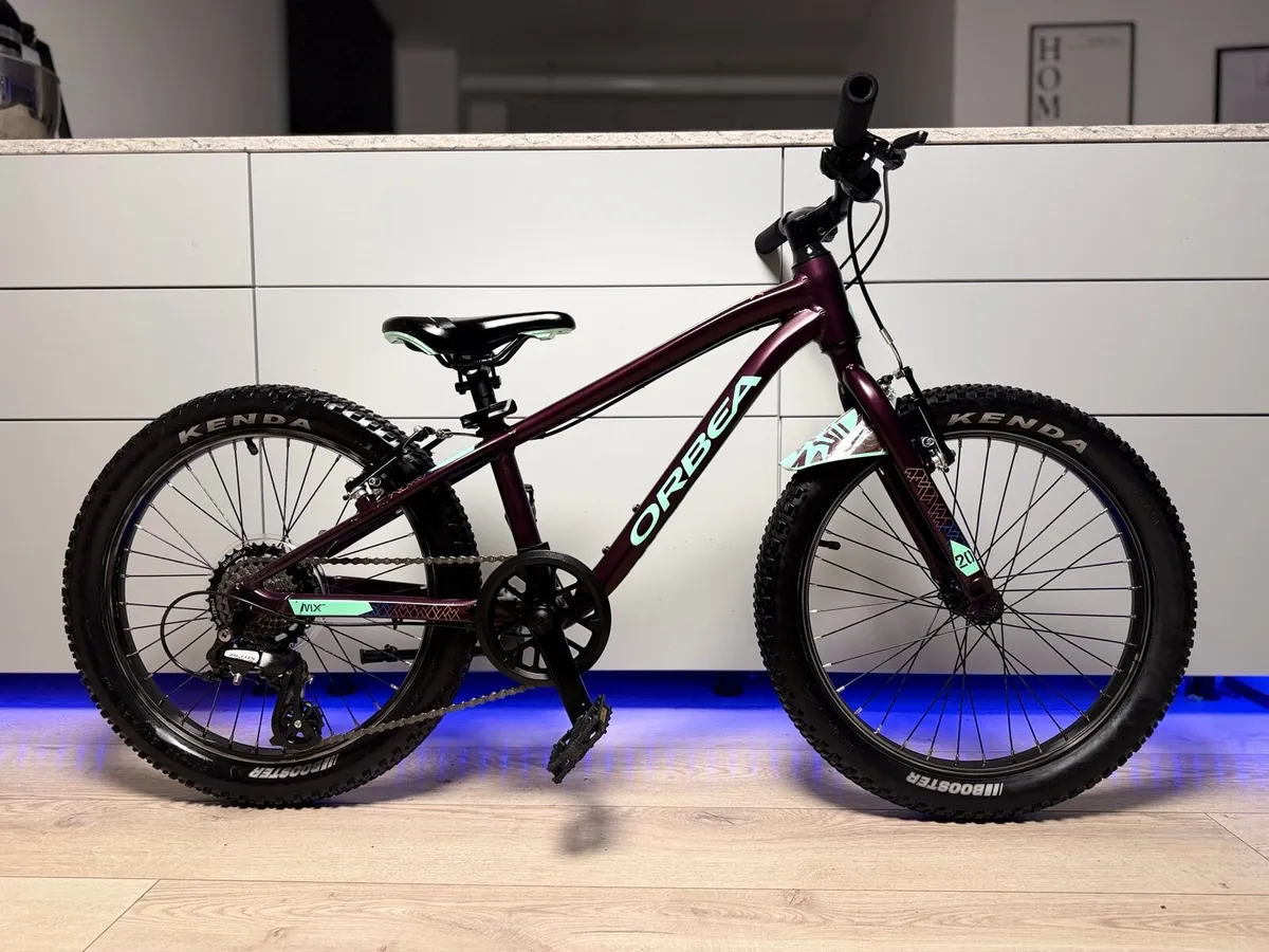 ORBEA MX Dirt Kids Bike 20 inch - Image 1