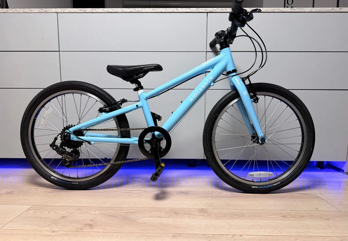 Ridgeback Dimension Kids Bike 20 inch - Image 1