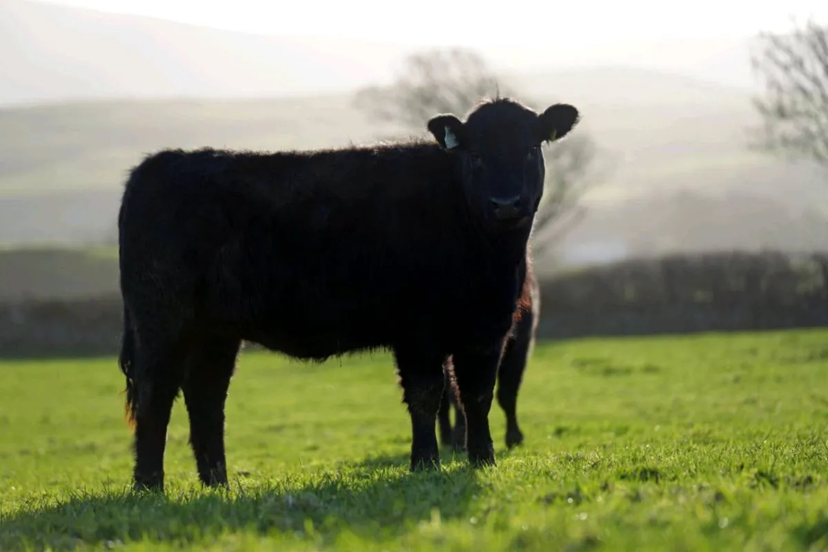 We have arrived on Mart Eye - Image 3