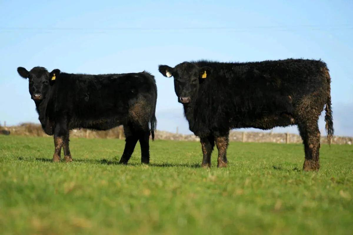 We have arrived on Mart Eye - Image 4