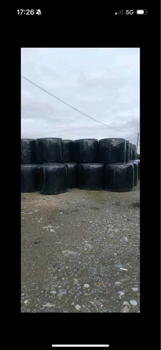Good quality Haylage
