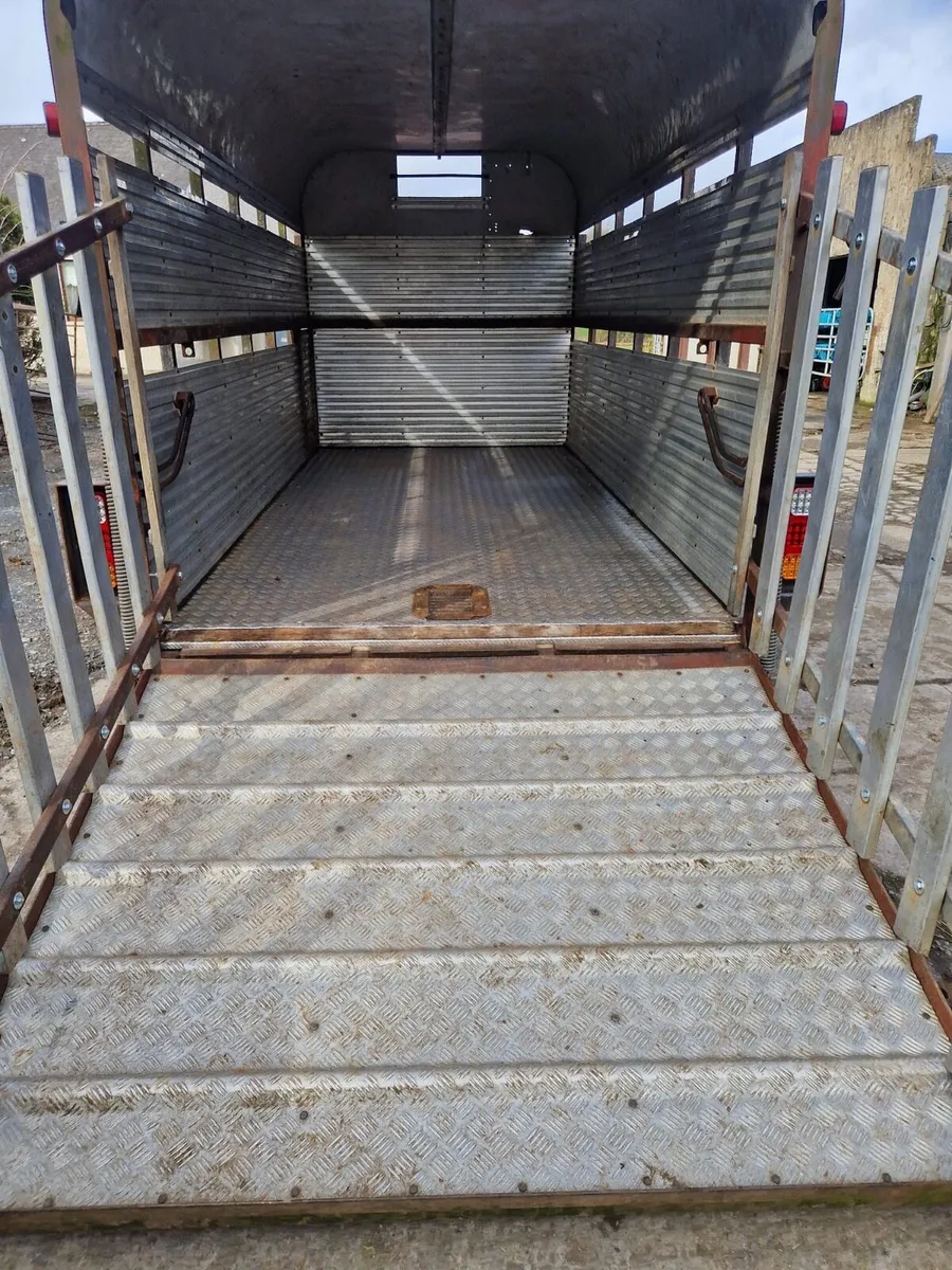 2011 Hamilton 12x6 foot Cattle Trailer - Image 3