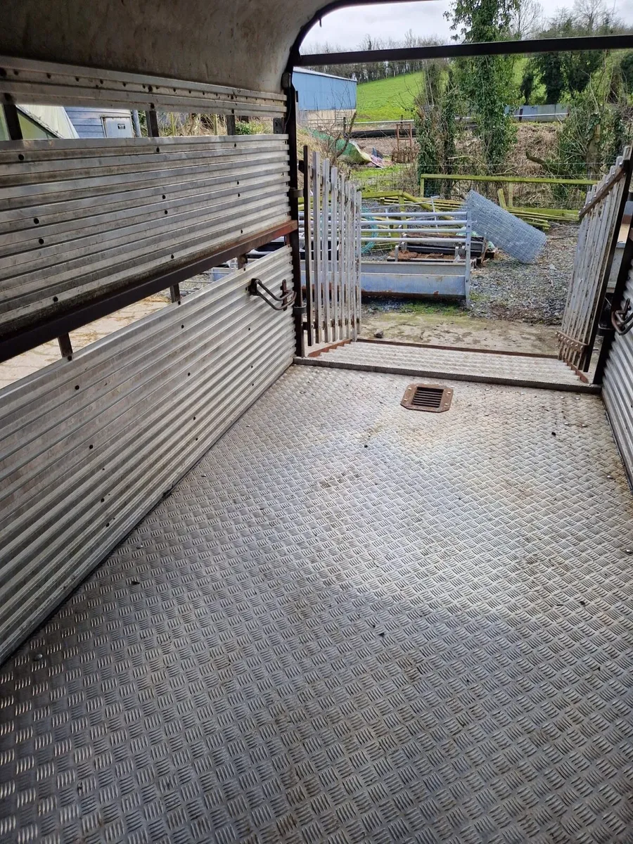 2011 Hamilton 12x6 foot Cattle Trailer - Image 2