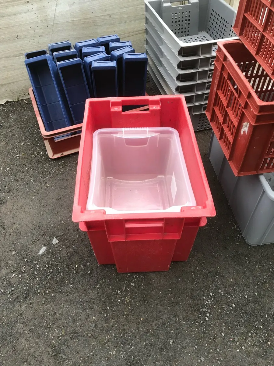 CLEARANCE- Storage containers - Image 1