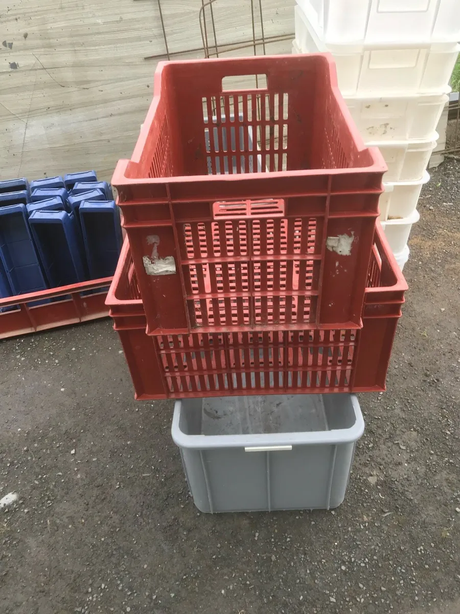 CLEARANCE- Storage containers - Image 2