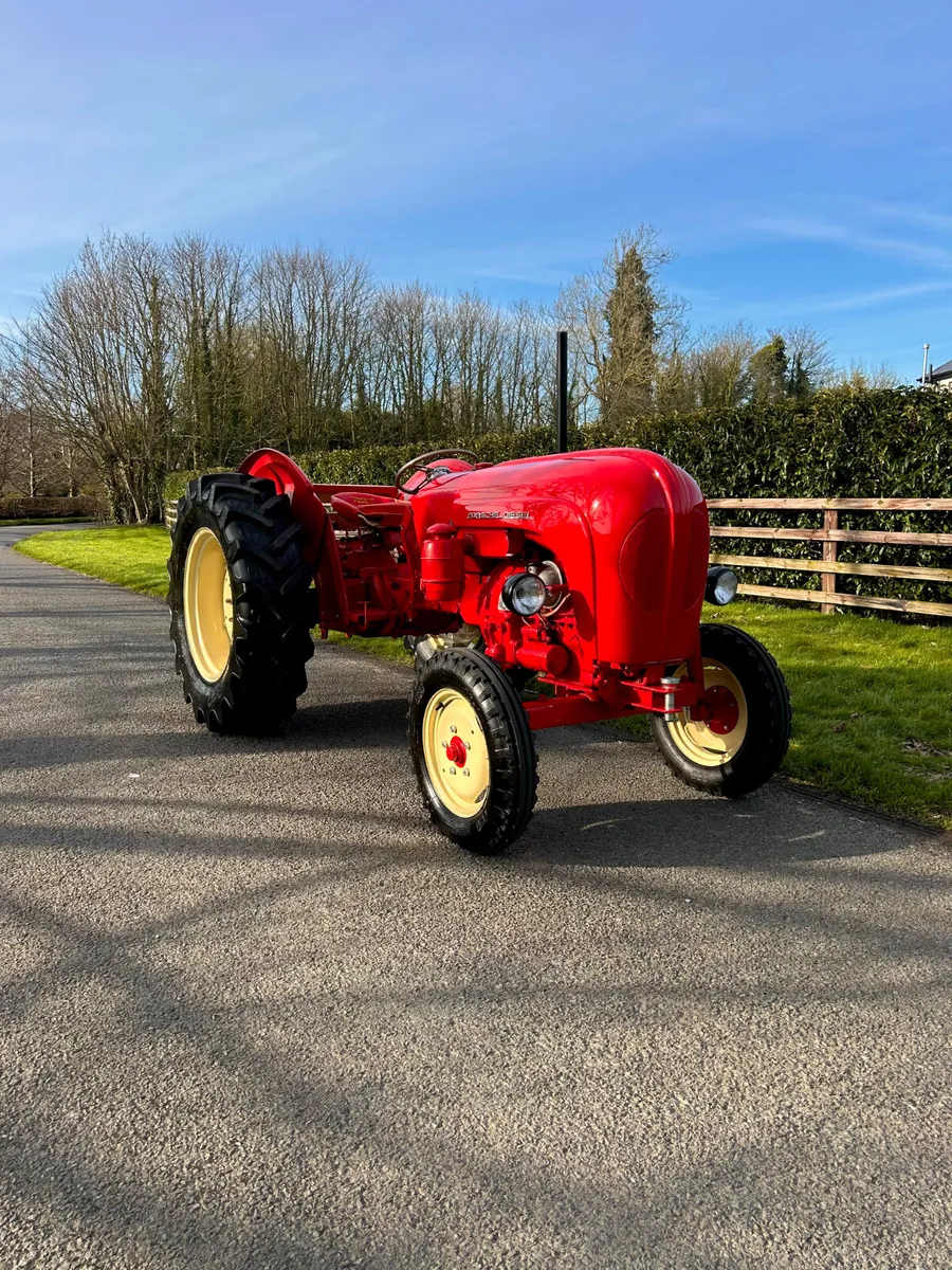 Stunning Porsche 238 Tractor - Image 2