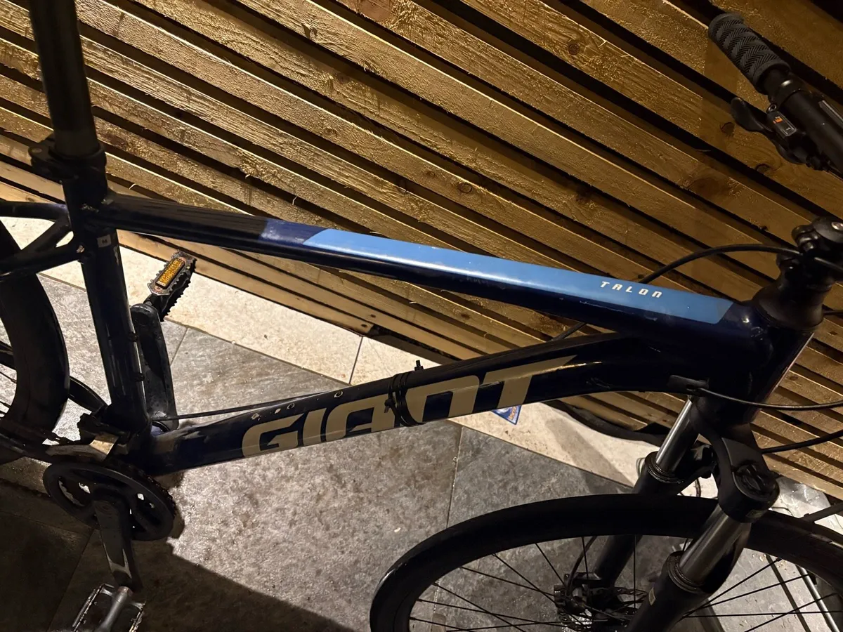 Mint Giant talon 3 - Image 2