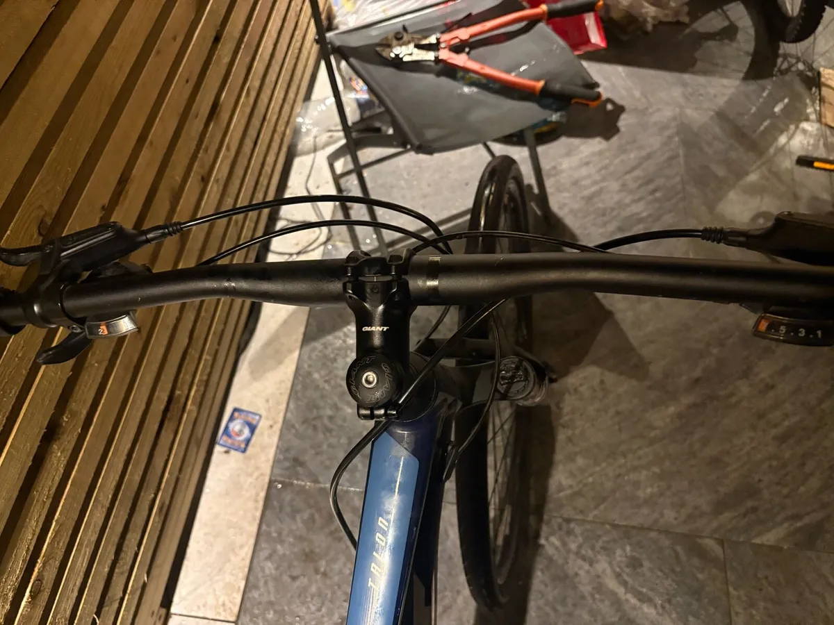 Mint Giant talon 3 - Image 3