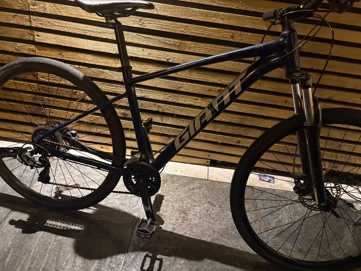 Mint Giant talon 3 - Image 1