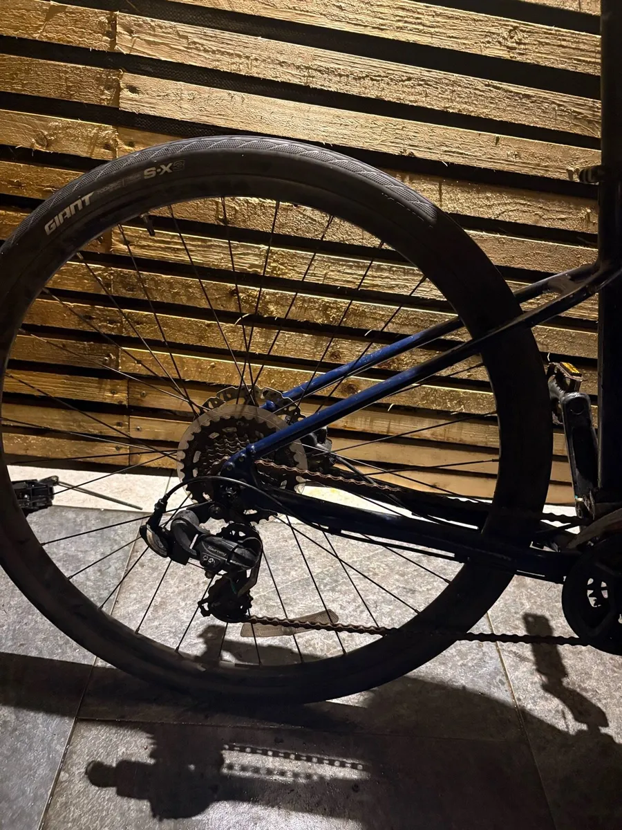 Mint Giant talon 3 - Image 4