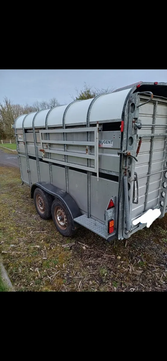12 × 6 sheep Trailer - Image 2