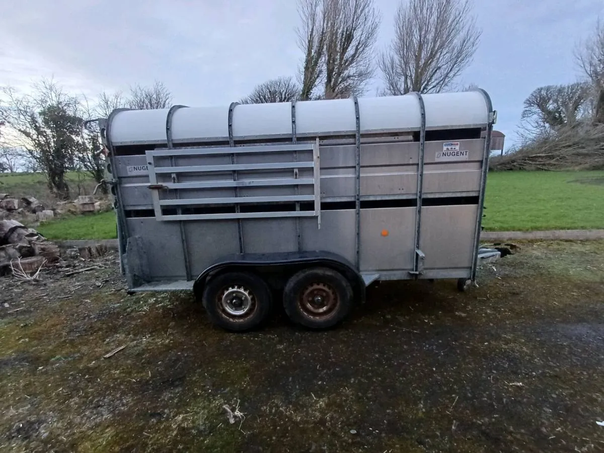 12 × 6 sheep Trailer - Image 1