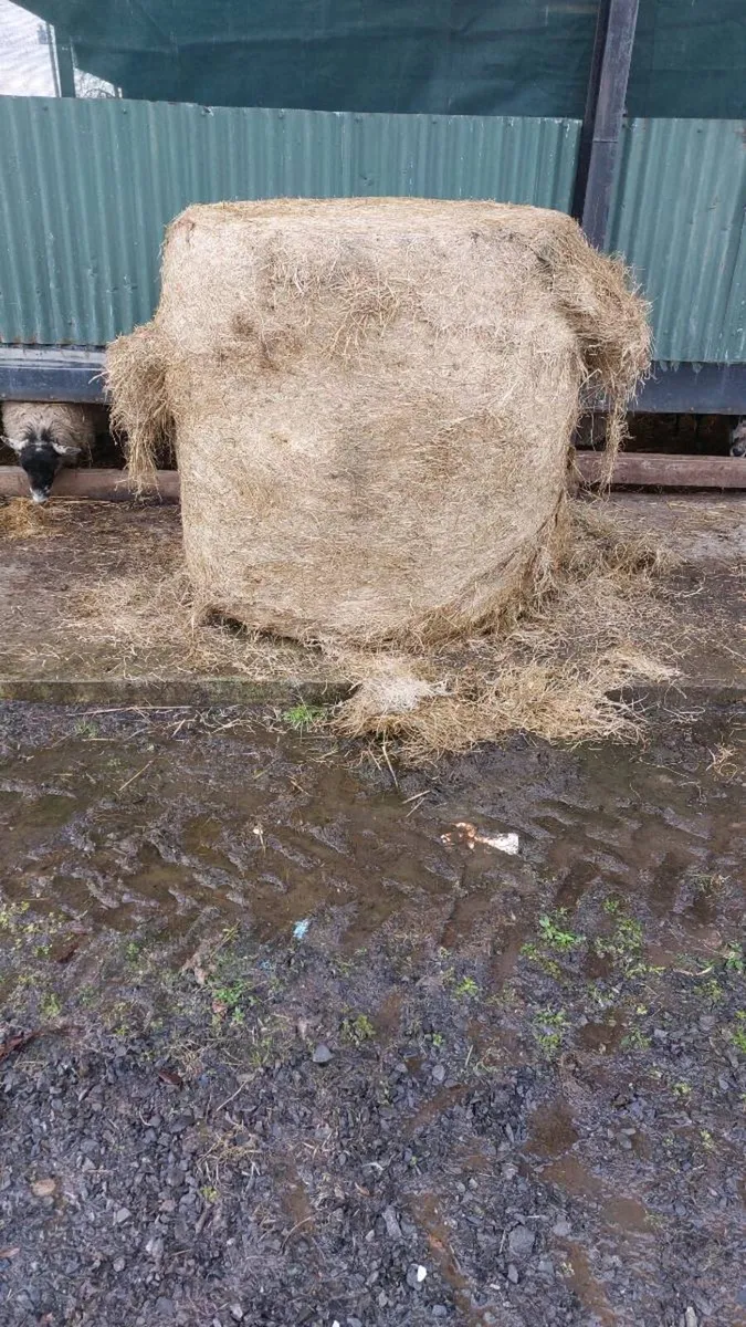 Round bale silage