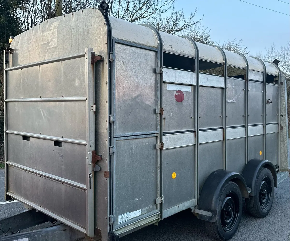 12 x 6 x 6 Ifor Williams Cattle Trailer - Image 3
