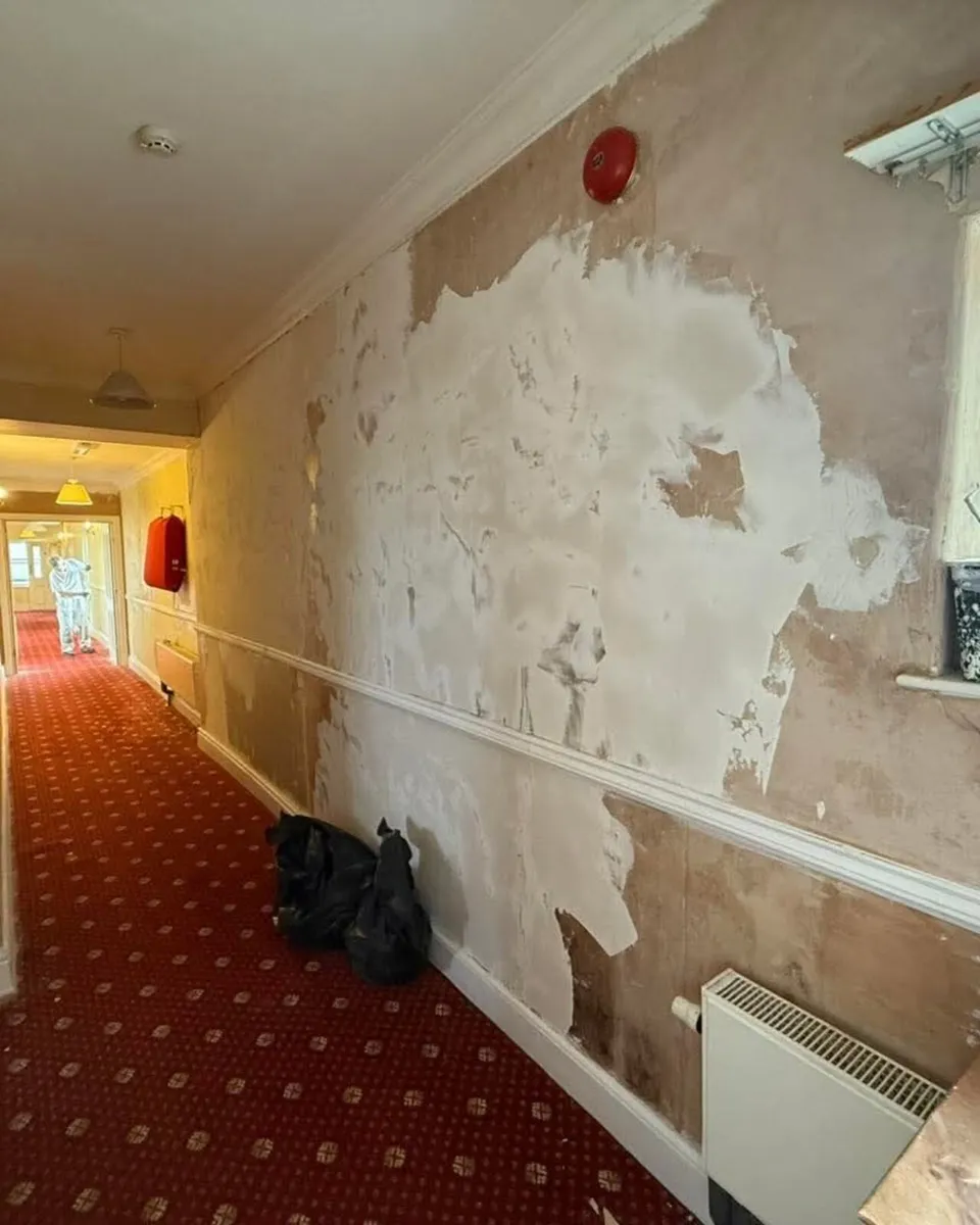 Professional Polish Painter and Decorator - Image 2