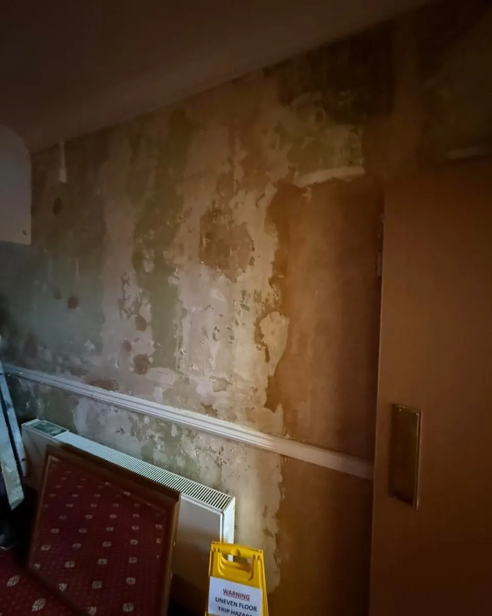 Professional Polish Painter and Decorator - Image 3