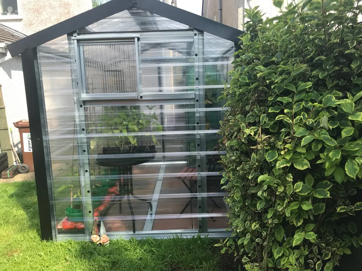 Greenhouse - Image 4