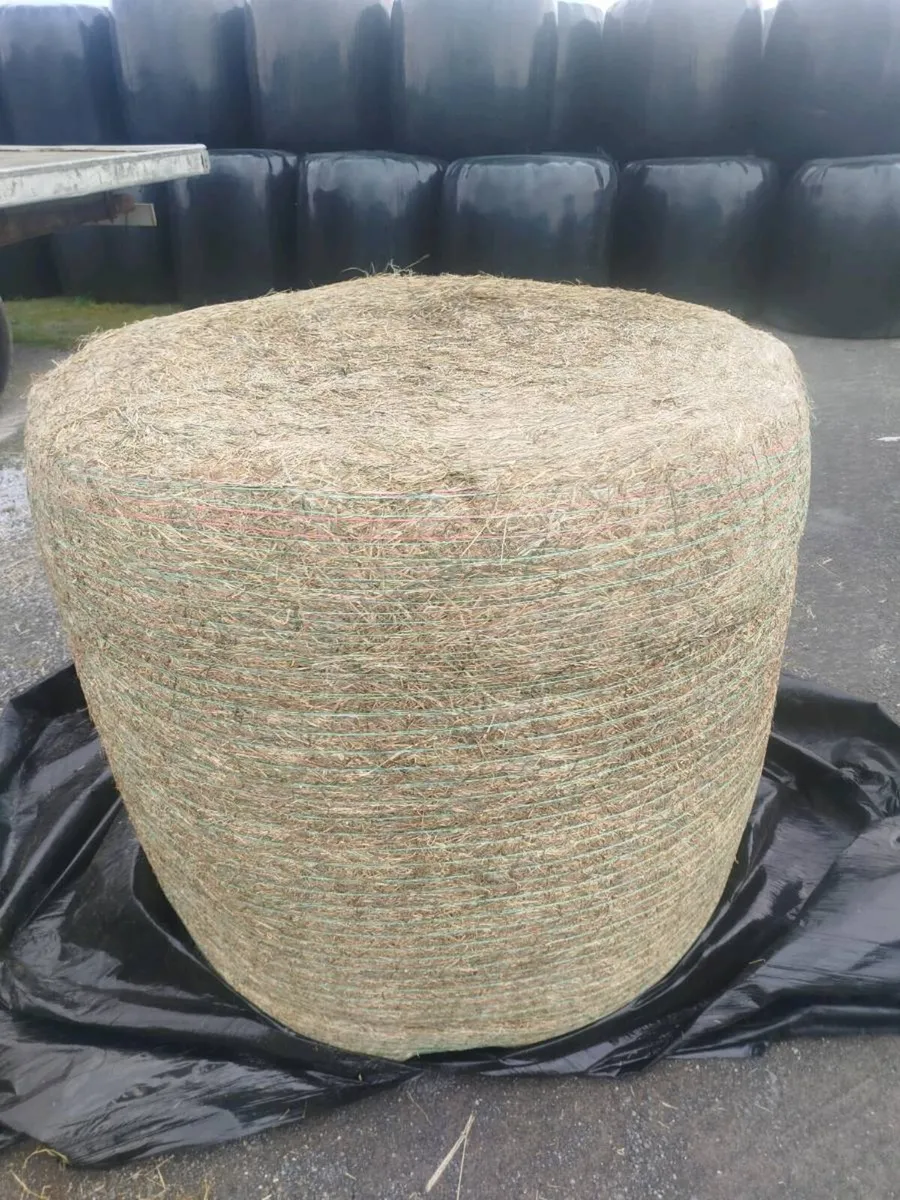 Haylage Bales for Sale - Image 3