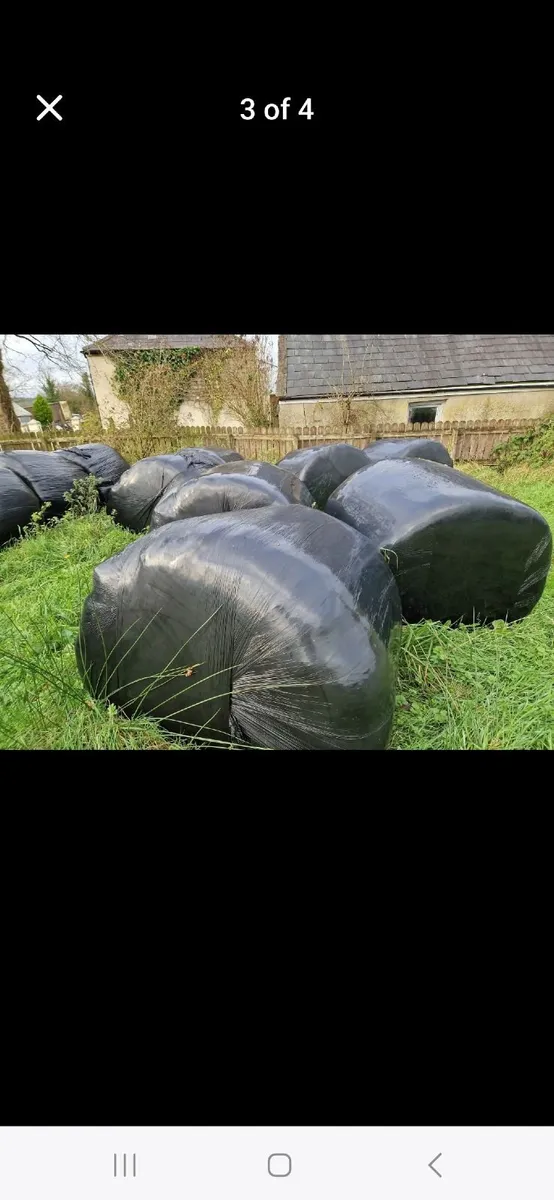Round bales silage - Image 1