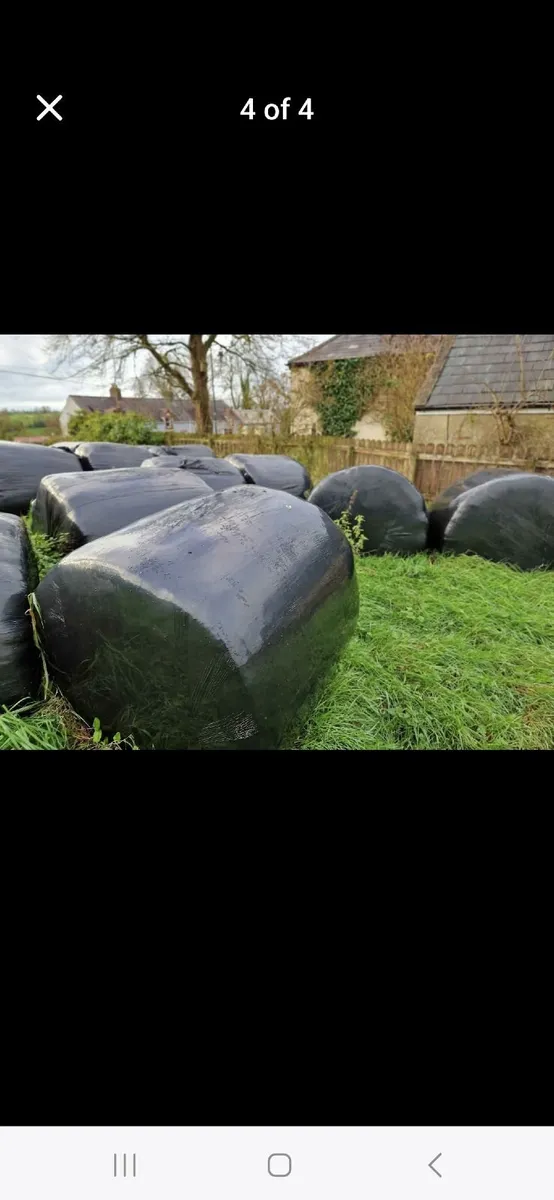 Round bales silage - Image 2