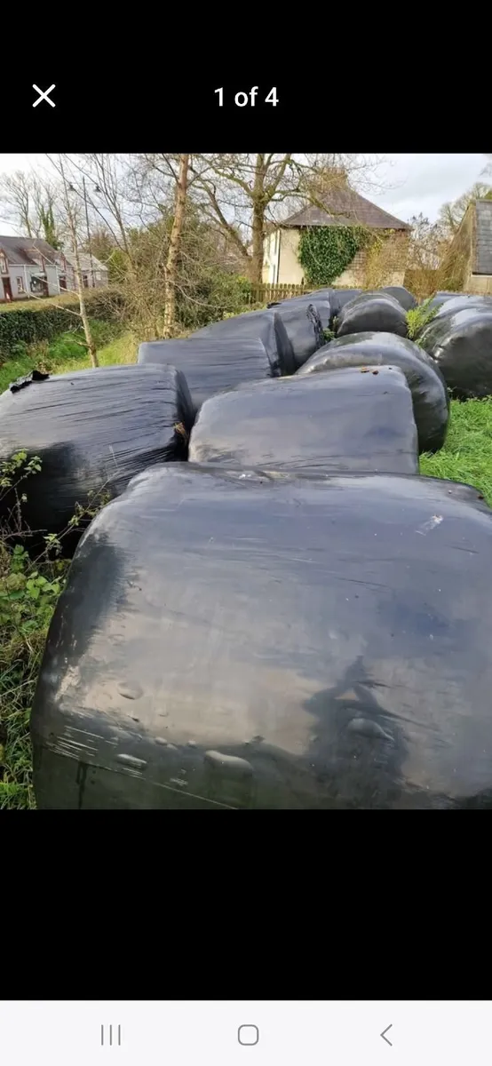 Round bales silage - Image 3