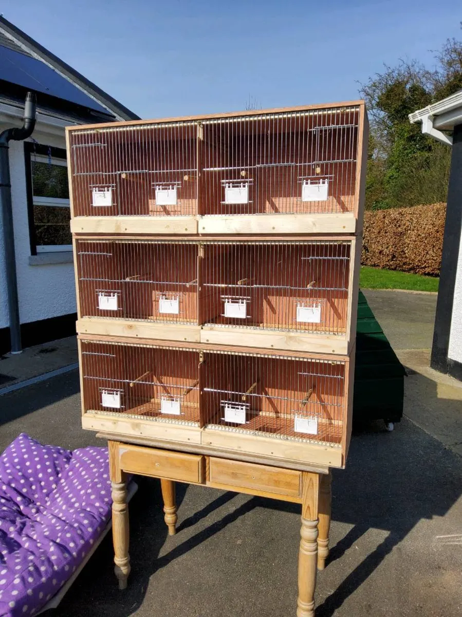 Bird cages - Image 1