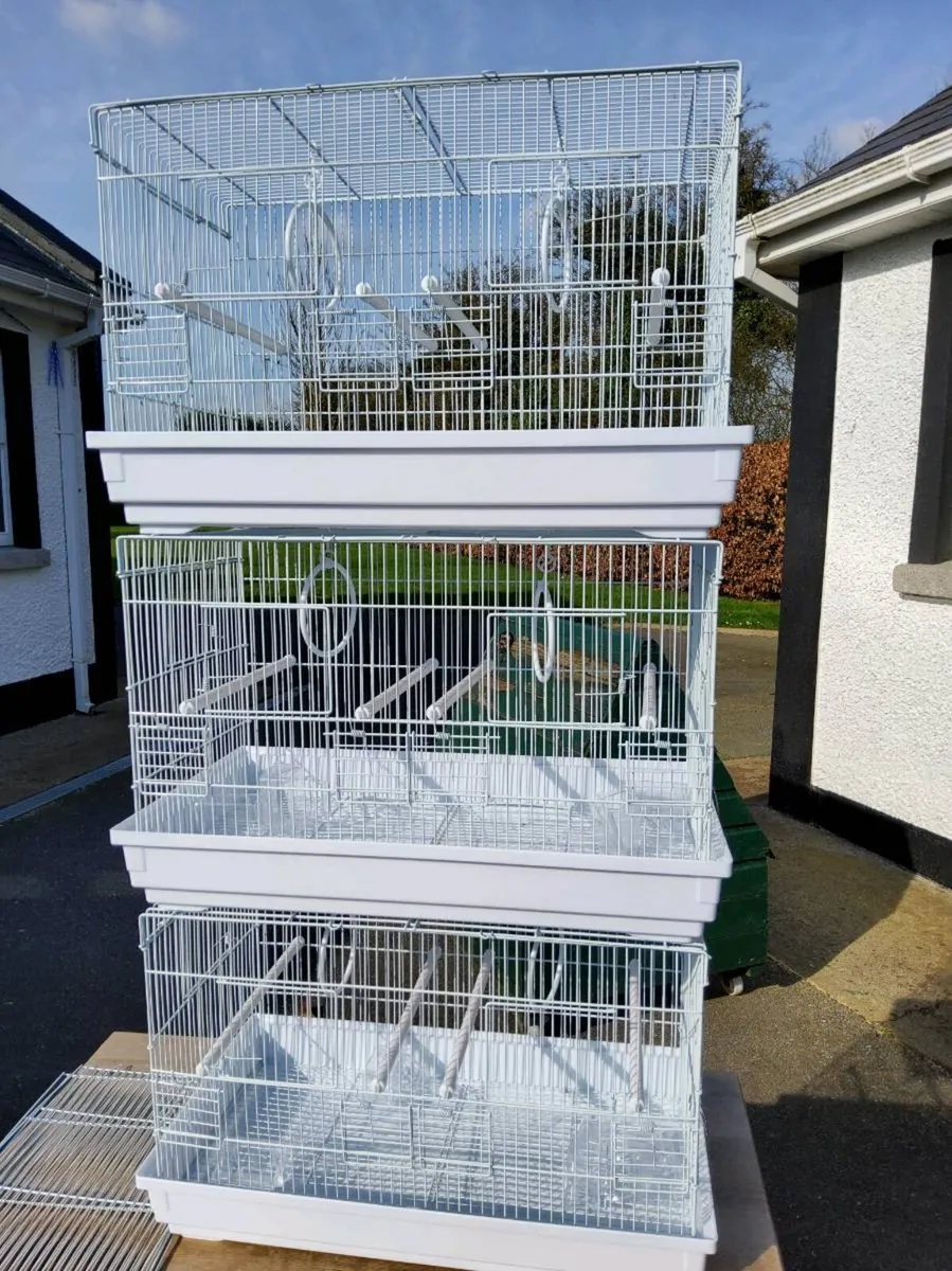 Bird cages - Image 2