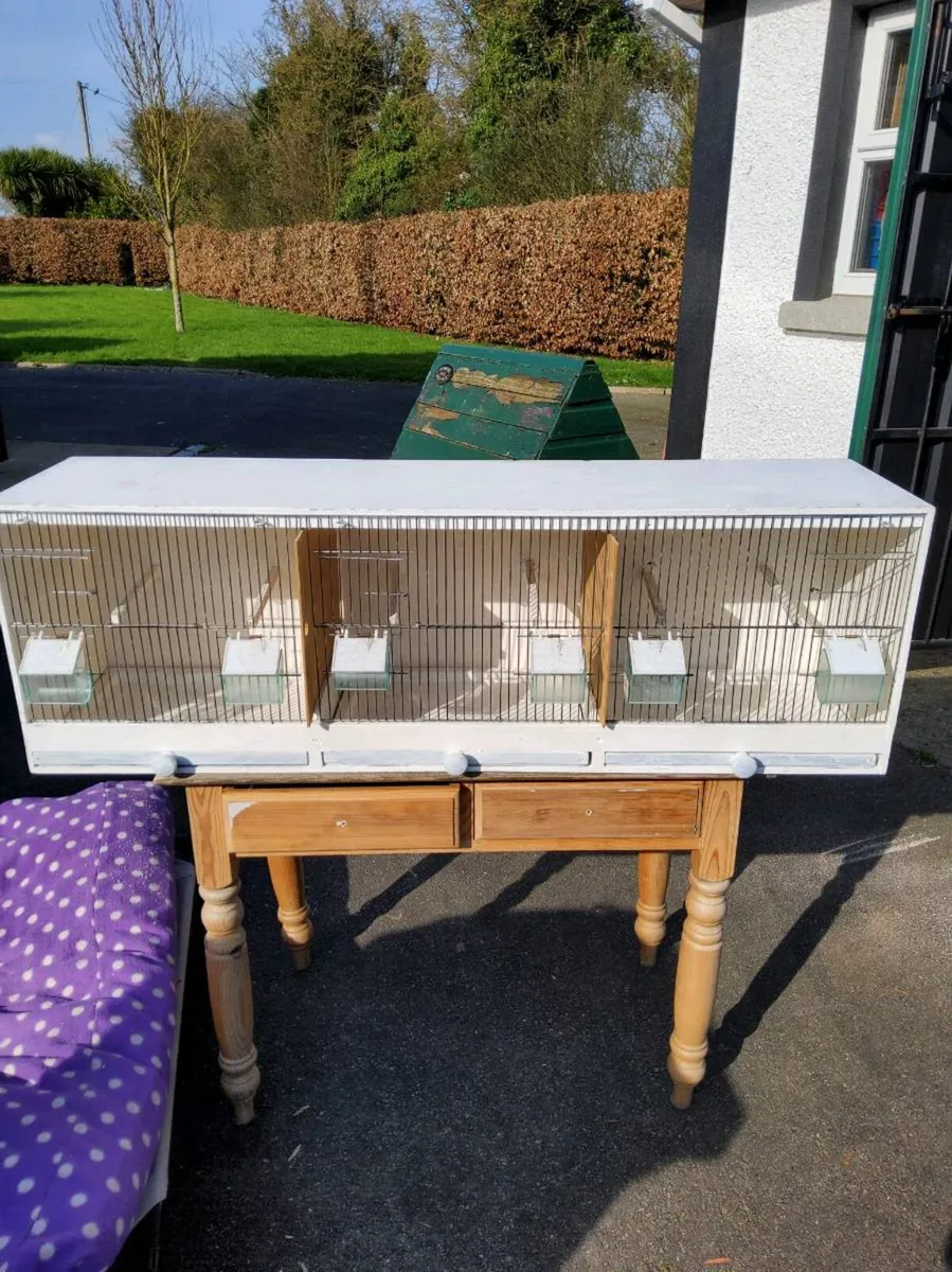 Bird cages - Image 3