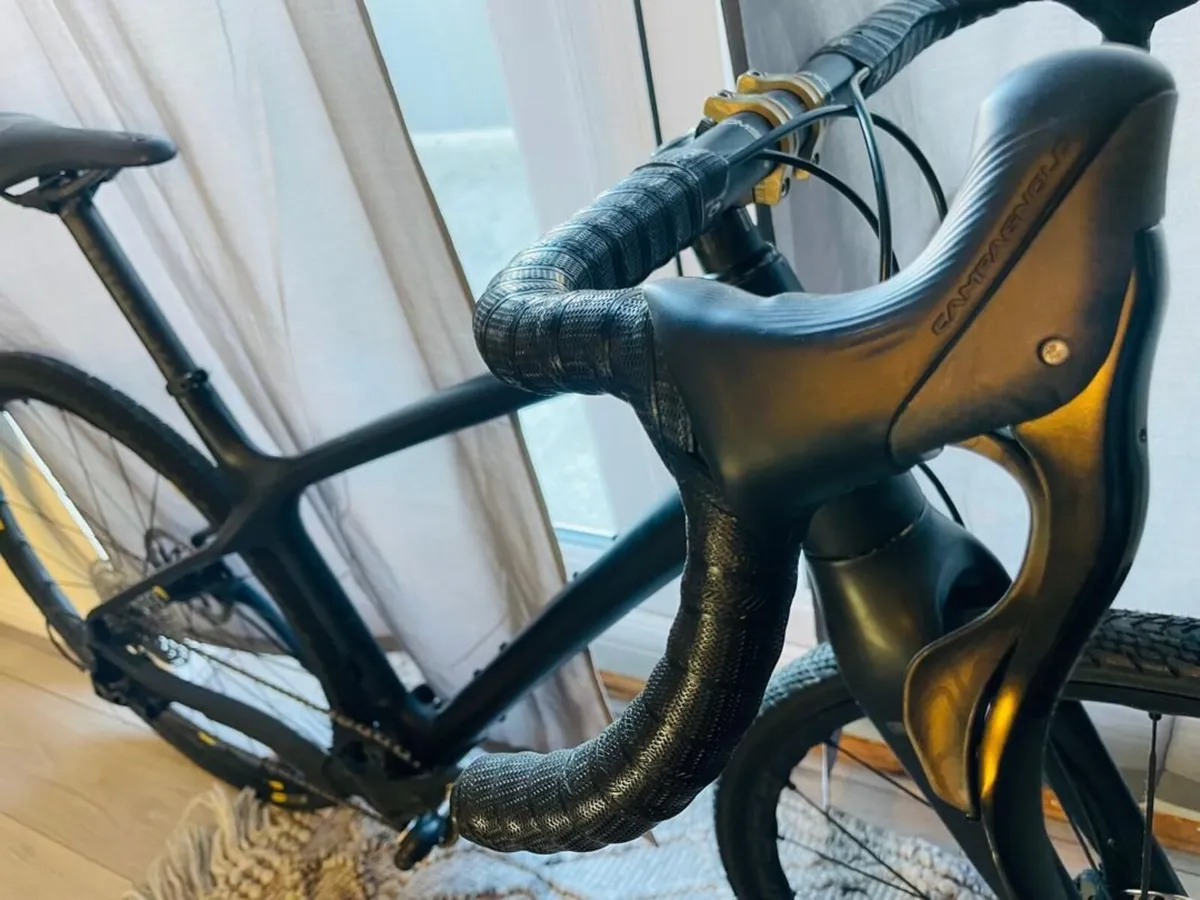 Evil Chamois Hagar - Never Ridden - Brand New - Image 2