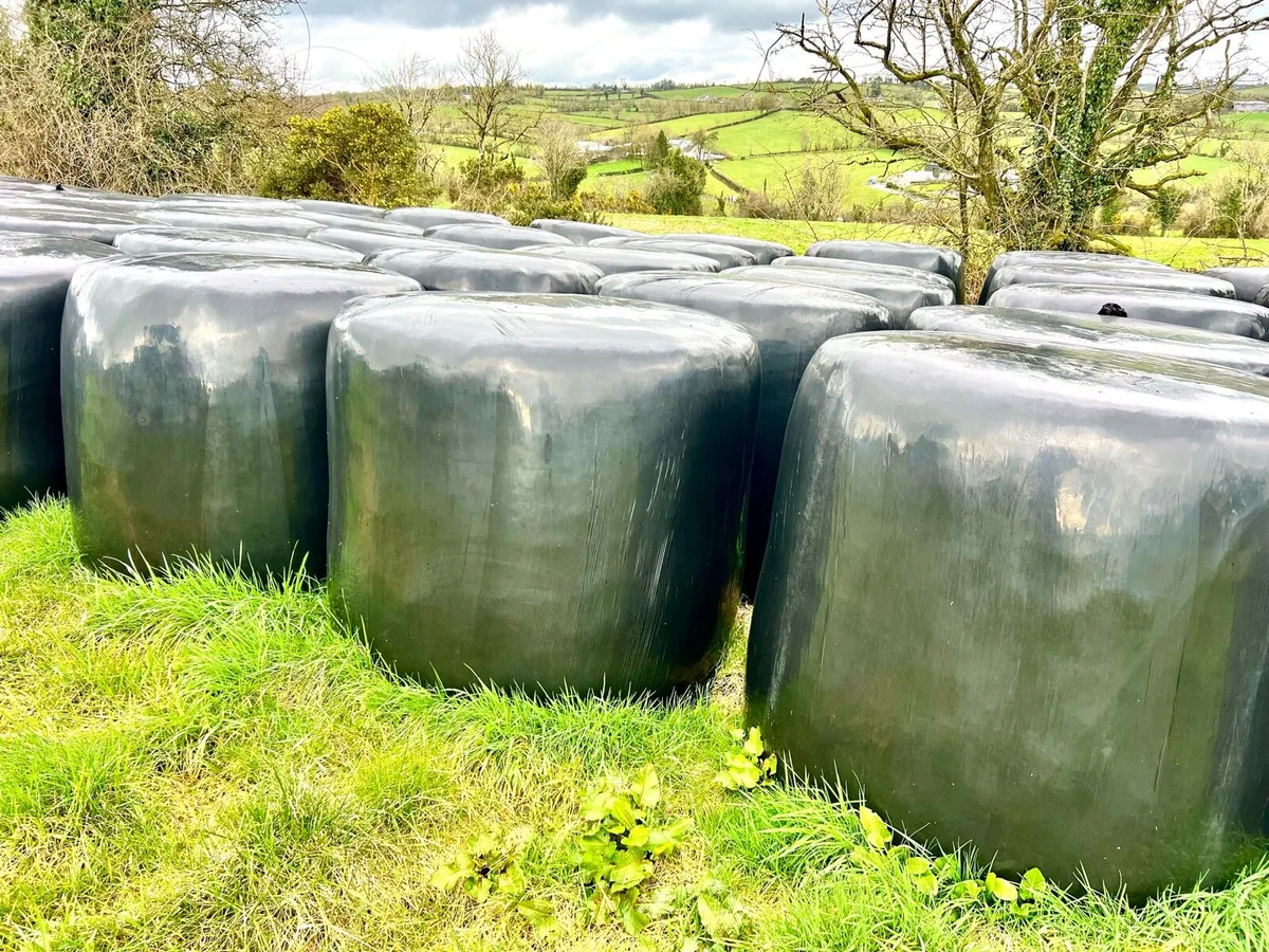 Organic Red Clover Bales & Oats - Image 2