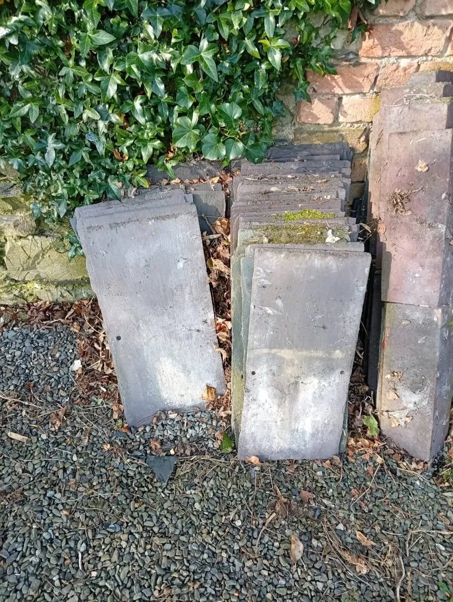 Bangor Blues and Ridge Tiles - Image 1