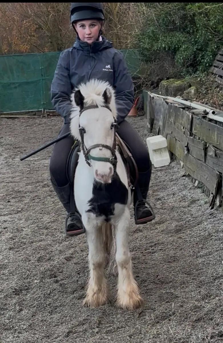 VERY QUIET LEAD-REIN/ STARTER   PONY - Image 3