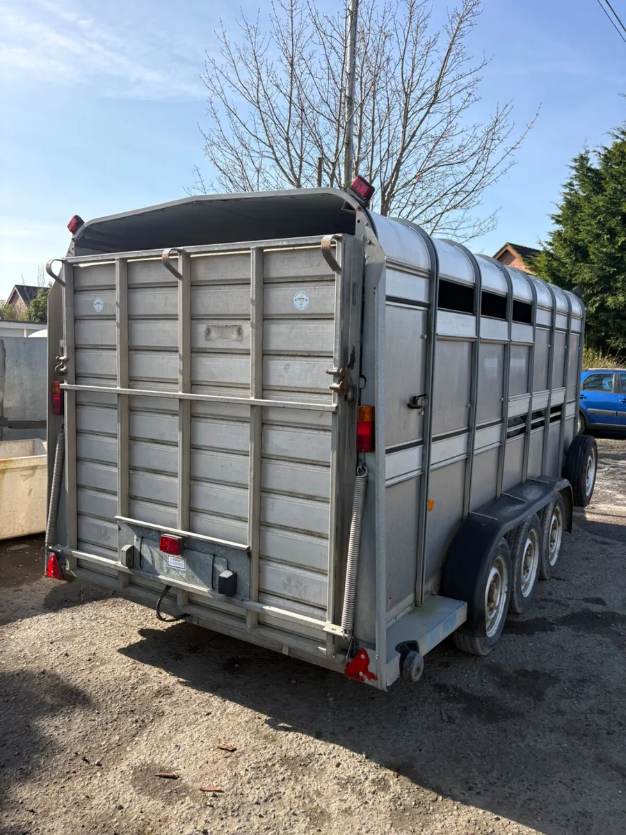 Ifor Williams 14ft livestock trailer - Image 2