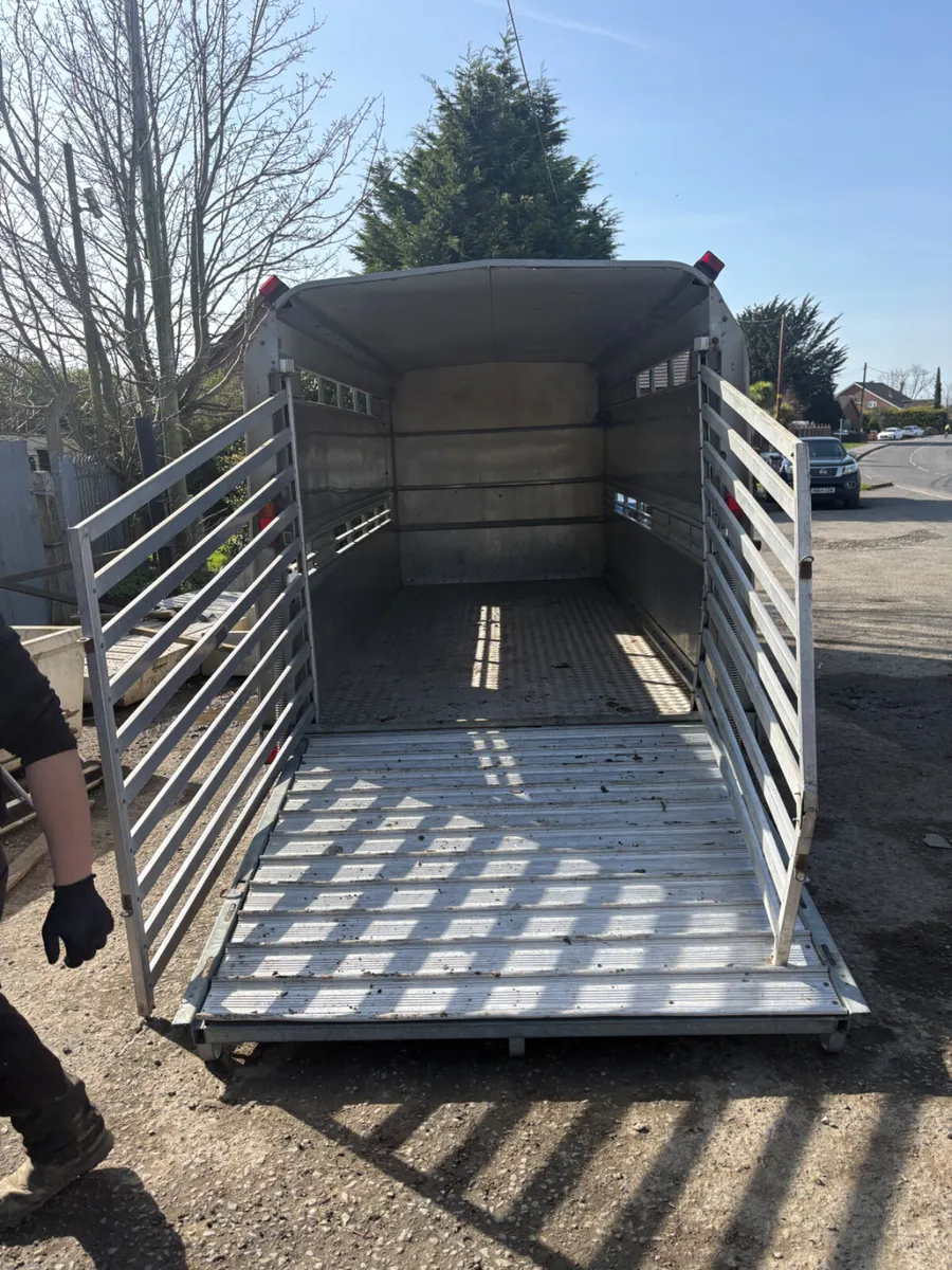 Ifor Williams 14ft livestock trailer - Image 3