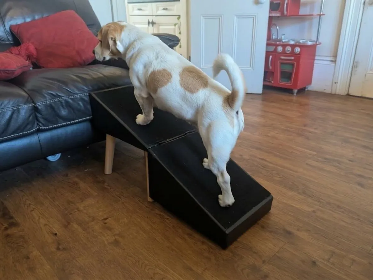 XL Folding Ottoman Dog Ramp Gentle Slope for Sofa - Image 2