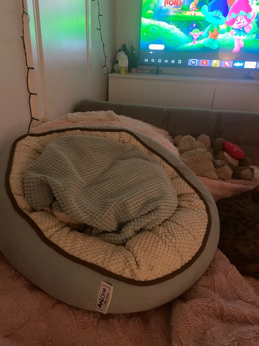 Pet bed - Image 3