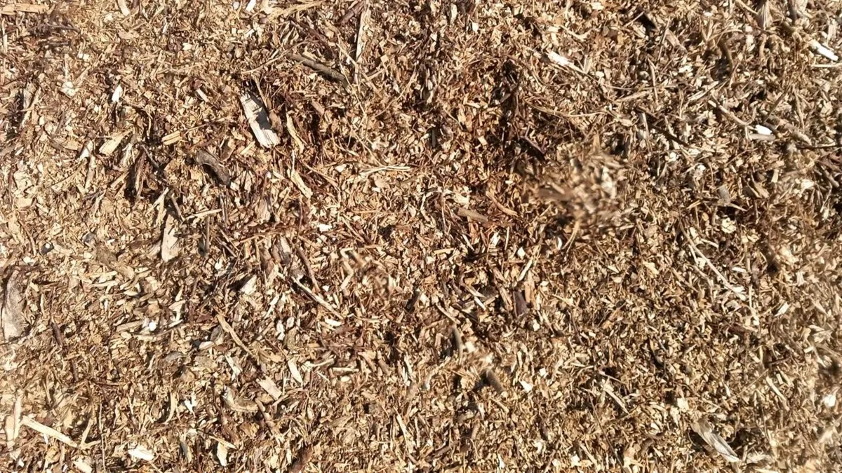 Bark mulch - Image 2