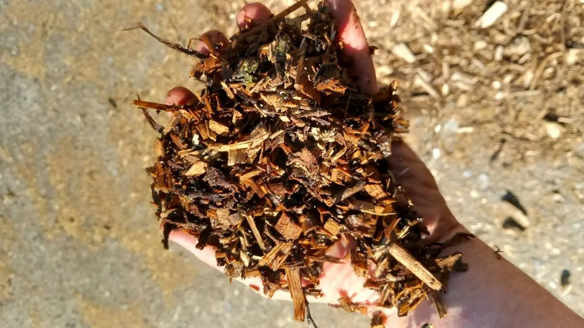 Bark mulch - Image 3
